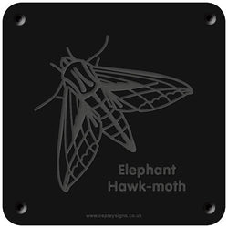 'Elephant hawk moth' rubbing plaque