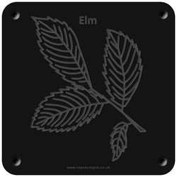 'Elm' rubbing plaque