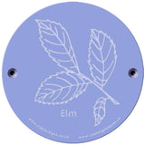 Rainbow Rubbing 'Elm'