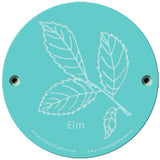 Rainbow Rubbing 'Elm'