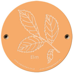 Rainbow Rubbing 'Elm'