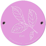 Rainbow Rubbing 'Elm'