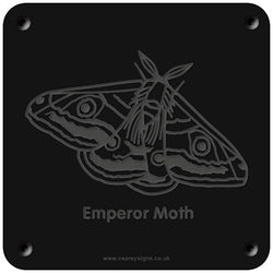 'Emperor moth' rubbing plaque
