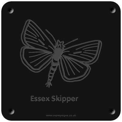'Essex skipper' rubbing plaque