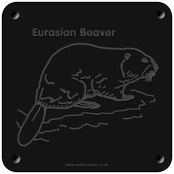 'Eurasian beaver' rubbing plaque