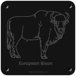 'European bison' rubbing plaque
