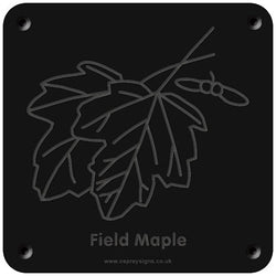 'Field maple' rubbing plaque