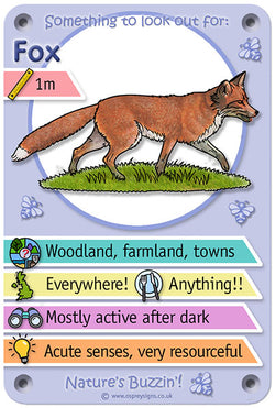 Nature's Buzzin' 'Fox'