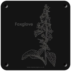 'Foxglove' rubbing plaque