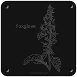 'Foxglove' rubbing plaque