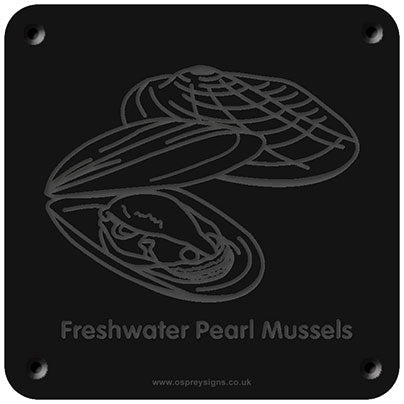 'Freshwater pearl mussel' rubbing plaque