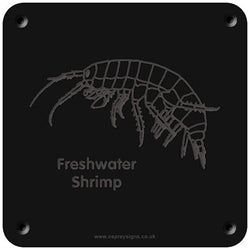 'Freshwater shrimp' rubbing plaque