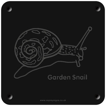 'Garden Snail' rubbing plaque