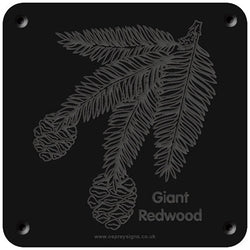 'Giant redwood' rubbing plaque