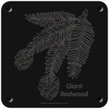 'Giant redwood' rubbing plaque