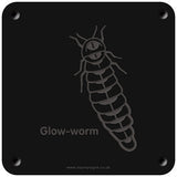 'Glow-worm' rubbing plaque