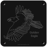 'Golden eagle' rubbing plaque