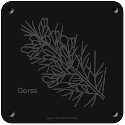 'Gorse' rubbing plaque