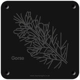 'Gorse' rubbing plaque