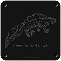 'Great Crested Newt' rubbing plaque