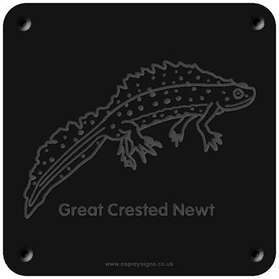 'Great Crested Newt' rubbing plaque