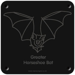 'Greater horseshoe bat' rubbing plaque