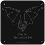 'Greater horseshoe bat' rubbing plaque