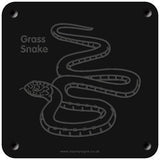 'Grass Snake' rubbing plaque