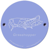 Rainbow Rubbing 'Grasshopper'