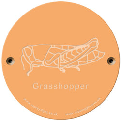 Rainbow Rubbing 'Grasshopper'