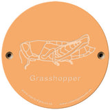 Rainbow Rubbing 'Grasshopper'