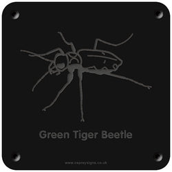 'Green tiger beetle' rubbing plaque