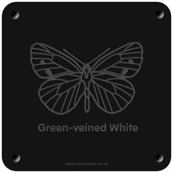 'Green-veined white' rubbing plaque