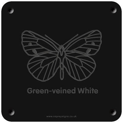 'Green-veined white' rubbing plaque