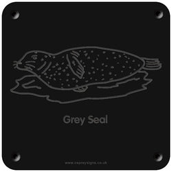 'Grey seal' rubbing plaque