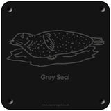 'Grey seal' rubbing plaque
