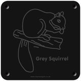 'Grey squirrel' rubbing plaque