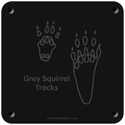 'Grey squirrel tracks' rubbing plaque