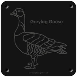 'Greylag goose' rubbing plaque