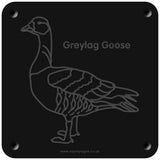 'Greylag goose' rubbing plaque