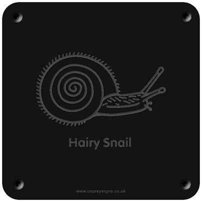 'Hairy Snail' rubbing plaque