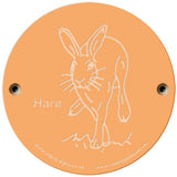 Rainbow Rubbing 'Hare'