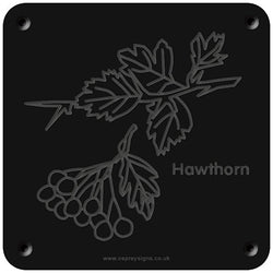 'Hawthorn' rubbing plaque