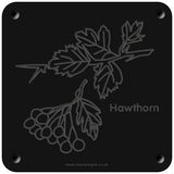 'Hawthorn' rubbing plaque
