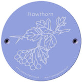 Rainbow Rubbing 'Hawthorn'