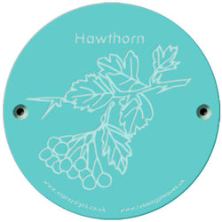 Rainbow Rubbing 'Hawthorn'