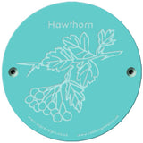 Rainbow Rubbing 'Hawthorn'