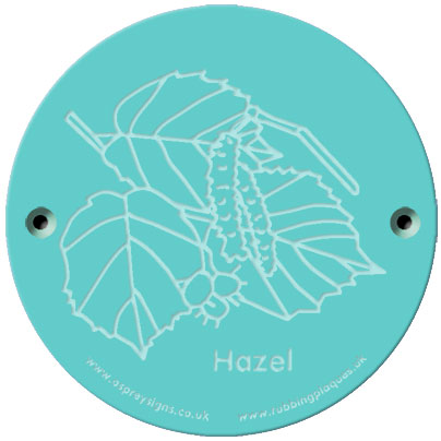 Rainbow Rubbing 'Hazel' – Osprey Signs