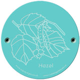 Rainbow Rubbing 'Hazel'
