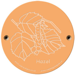 Rainbow Rubbing 'Hazel'